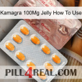 Kamagra 100Mg Jelly How To Use new13